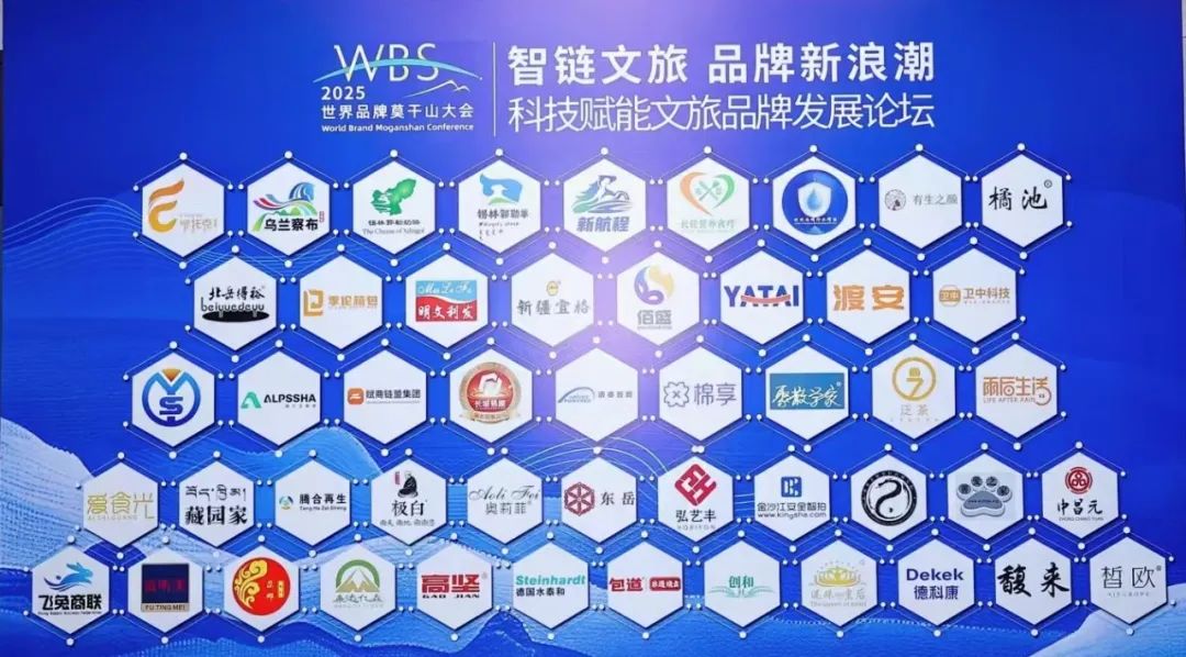 2025世界品牌莫干山大會(huì)｜德國(guó)水泰和聚焦中國(guó)城市更新(圖3)